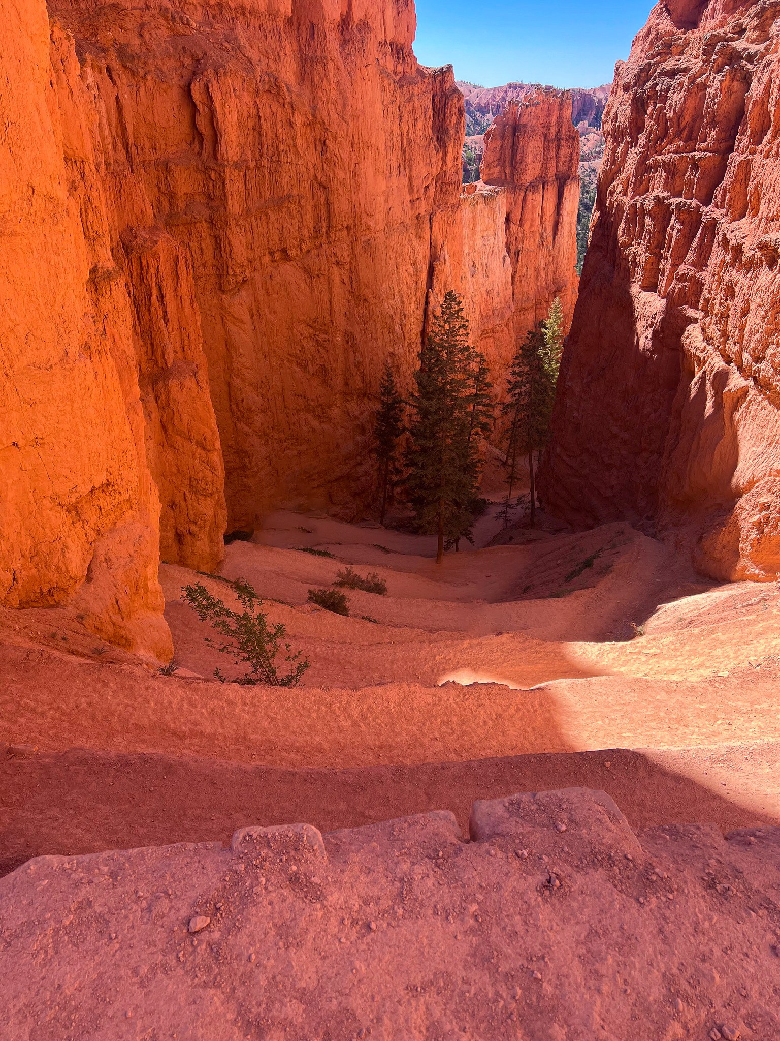 Bryce Canyon Switchbacks Tropic, Utah