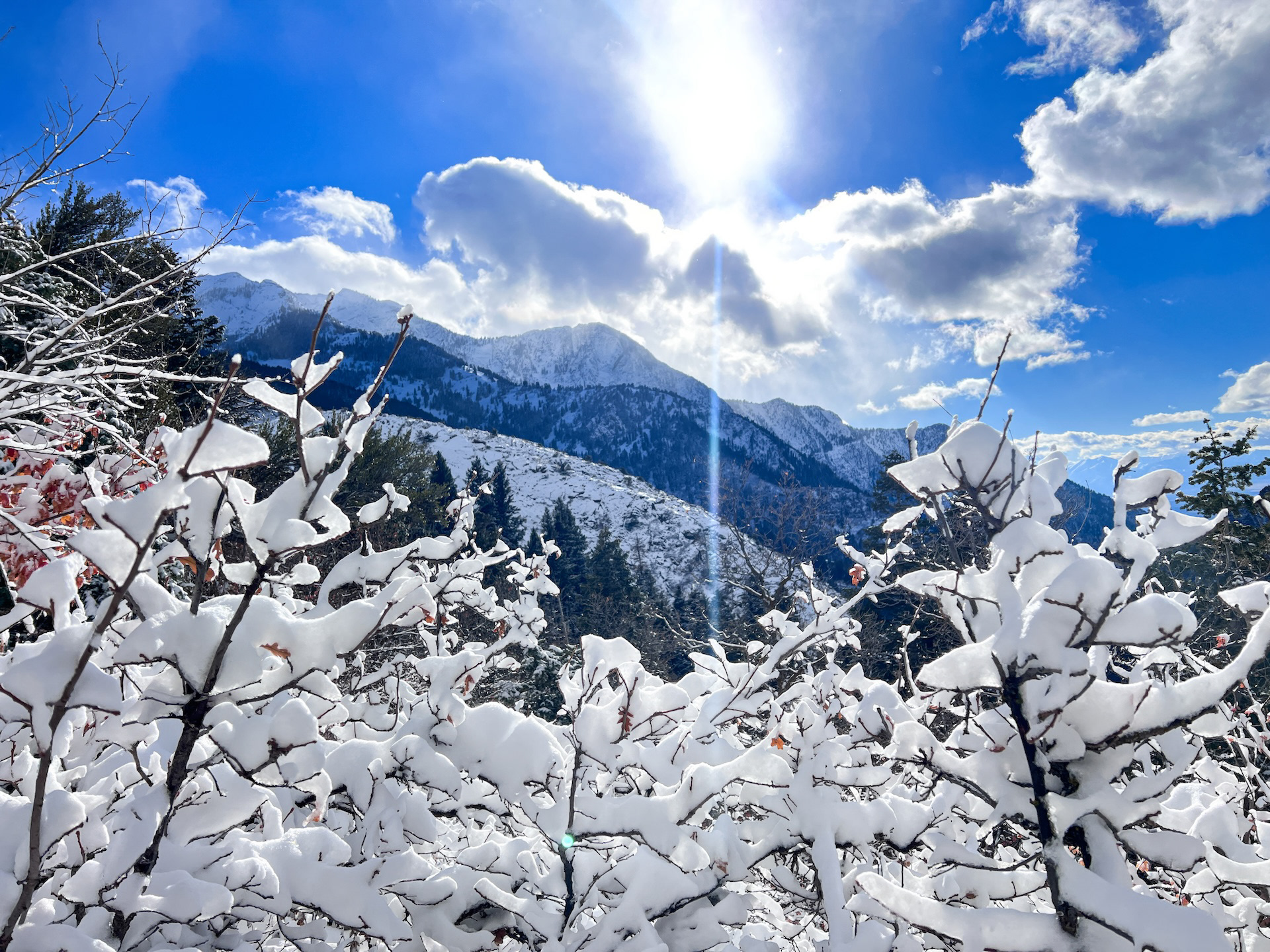 Winter Wonderland Salt Lake City, Utah