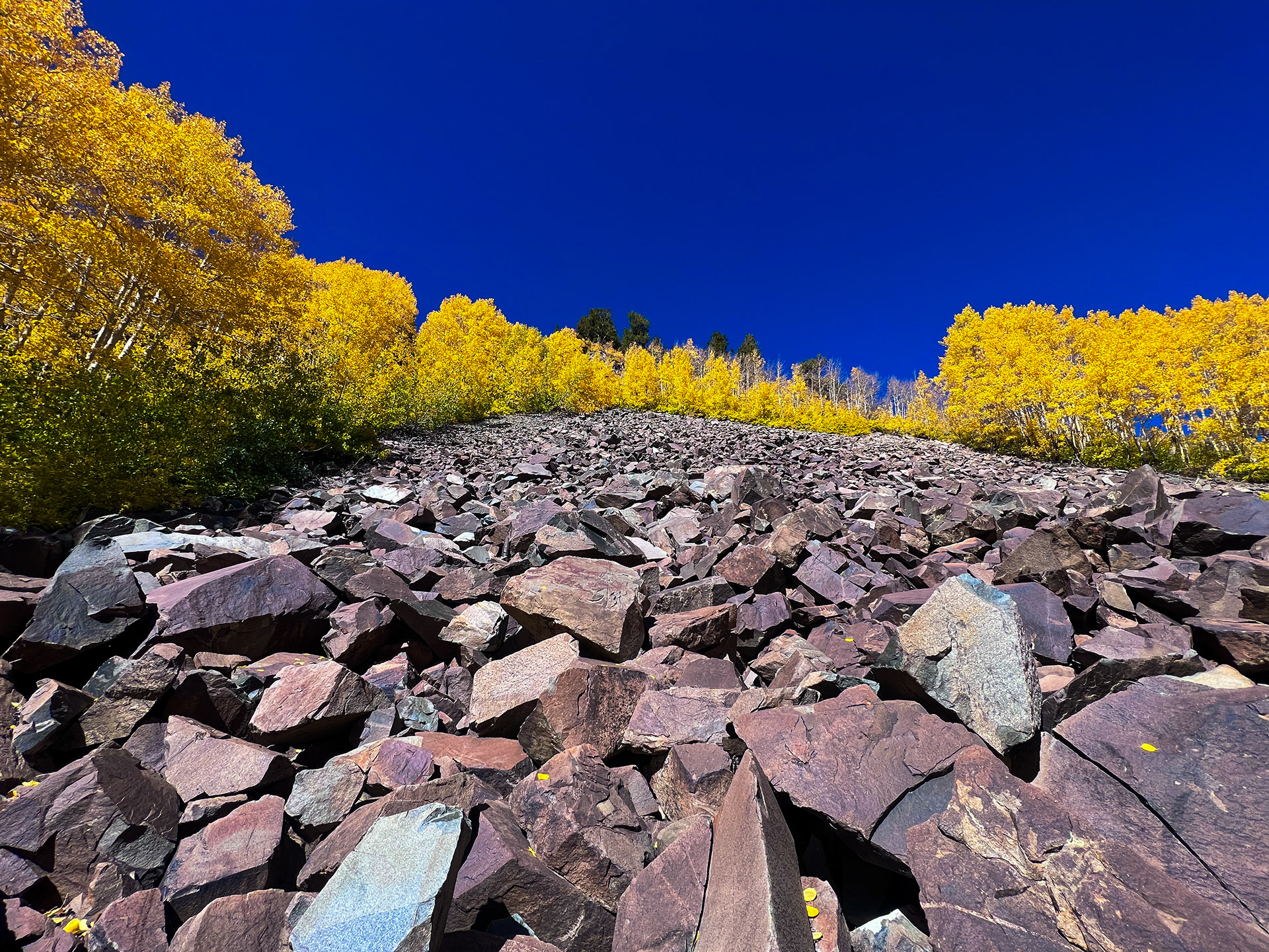 Fall Colors in the Mountains Park City, Utah